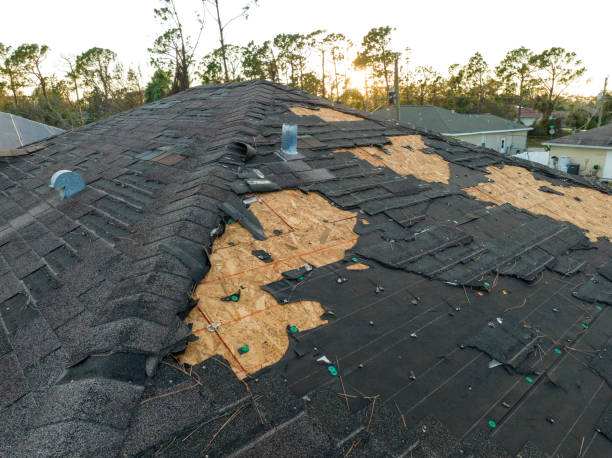 Best Roof Insulation Installation  in Rolling Meadows, IL